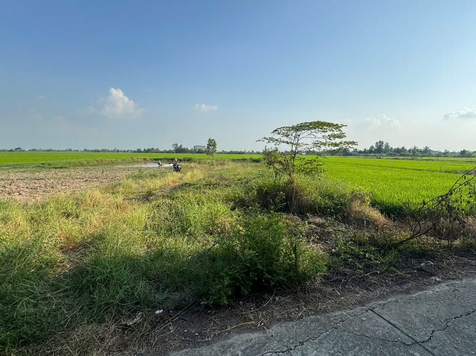 Đất nền Mai Thành Tâm Rạch Giá 1001m² 1 tỷ - Sổ đỏ chính chủ!