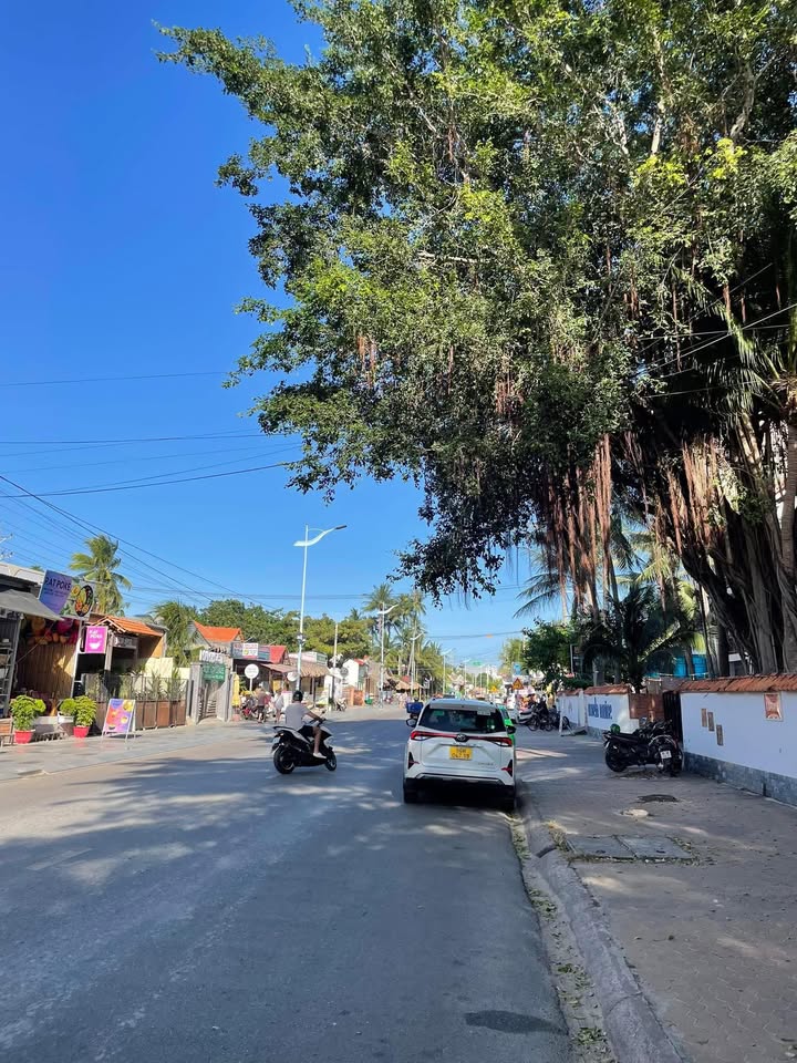 Đất Vàng Mũi Né 1300m² Mặt Tiền Nguyễn Đình Chiểu - Tiềm Năng Khách Sạn Cao Tầng