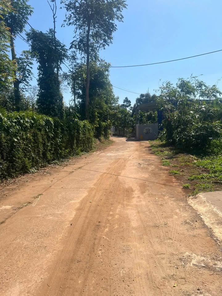 Đất nền Hòa Thắng, BMT 95m² giá 750 triệu/lô - Sổ đỏ chính chủ!