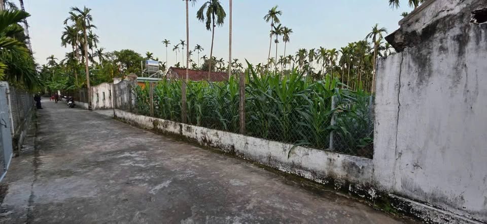 Đất nền Hải Sơn, Hải Hậu 607m² - Sổ đỏ chính chủ, nở hậu đẹp!