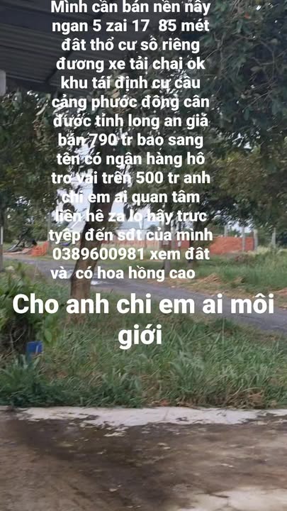 Đất nền Cần Đước 85m² - Giá 790 triệu, sổ đỏ chính chủ!