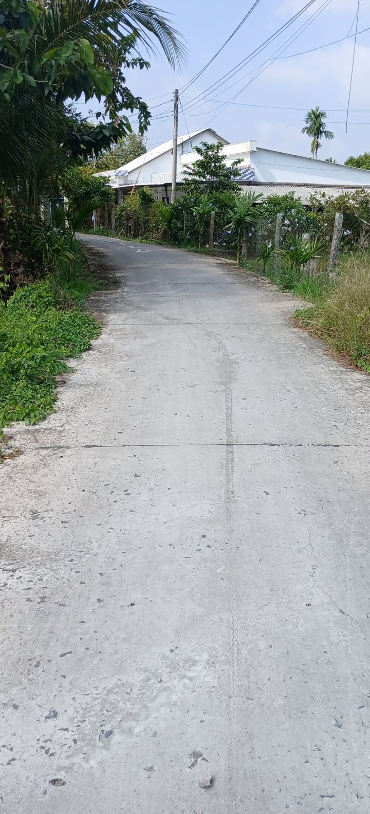 Đất Nền Vĩnh Thới, Lai Vung - 239m² Thổ Cư, Sổ Hồng Sẵn, Giá F0 429 Triệu