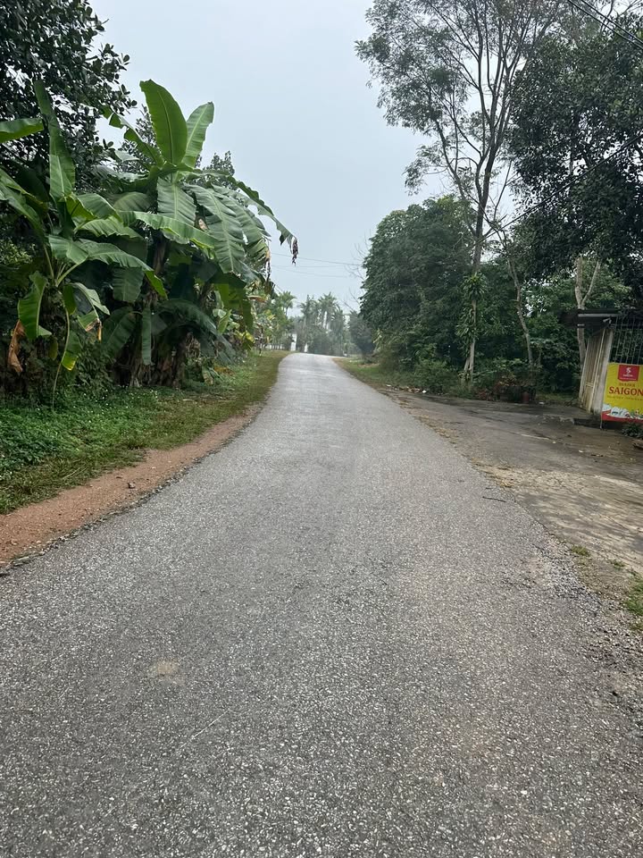 Bán Đất Mặt Đường Chính Tuyên Quang 400m² - Sổ Đỏ Rõ Ràng