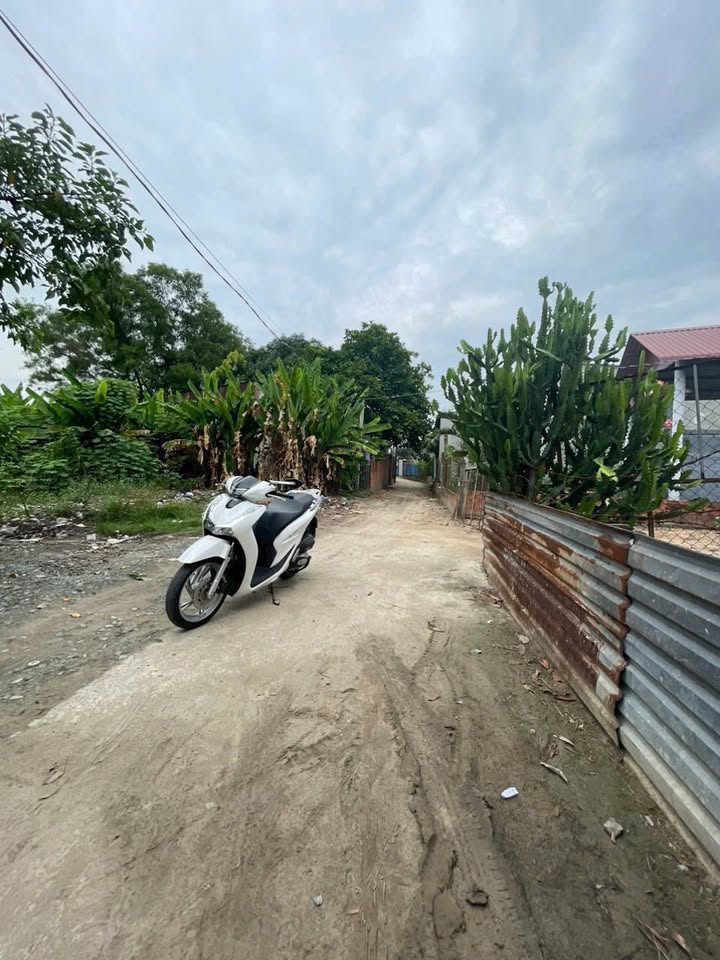 Bán Đất Mỹ Hạnh Nam, Đức Hòa 126m² Sổ Hồng Chính Chủ - Giá 1.1 Tỷ