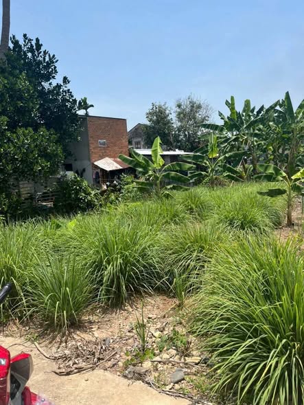 Đất nền Suối Hiệp Diên Khánh 121m² giá 750 triệu - Sổ đỏ chính chủ!