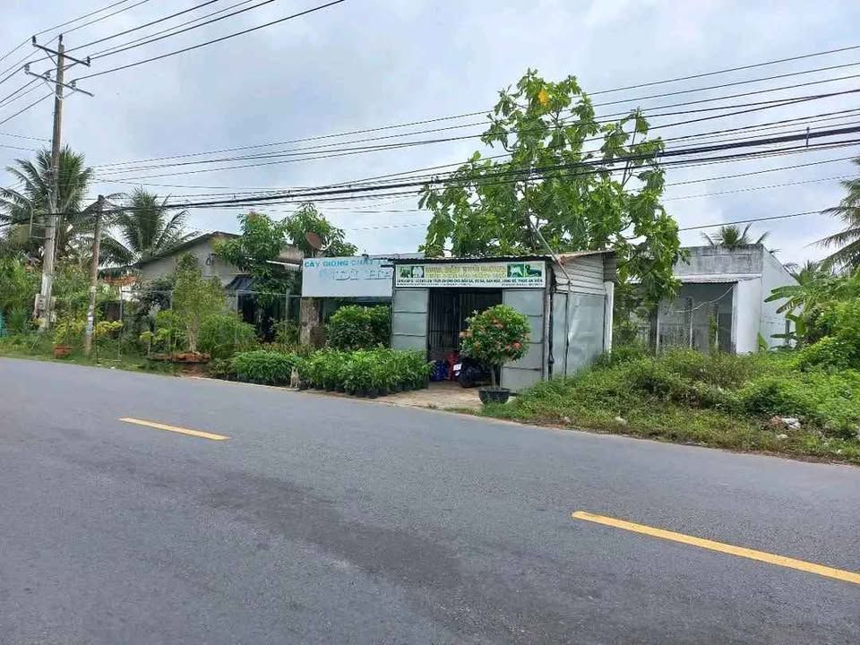 Đất nền Xã Châu Hòa, Giồng Trôm, Bến Tre 395m² - Tiềm năng tăng giá!