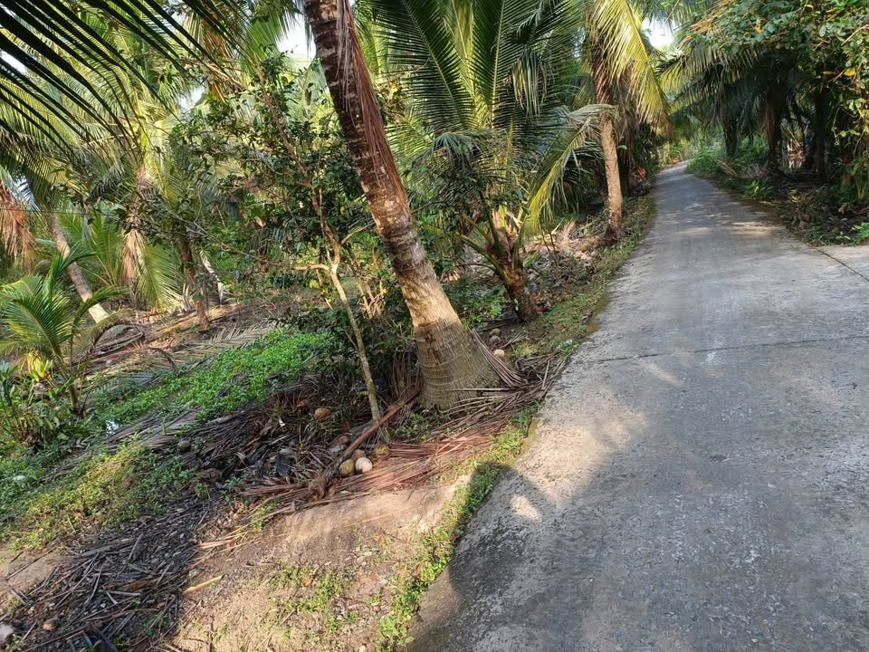 Đất nền Giồng Trôm 360m² giá 400 triệu - Sổ đỏ chính chủ!