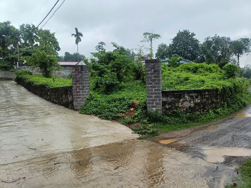 Đất Lô Góc 404m² Tân Vinh, Lương Sơn - Đầu tư nghỉ dưỡng lý tưởng