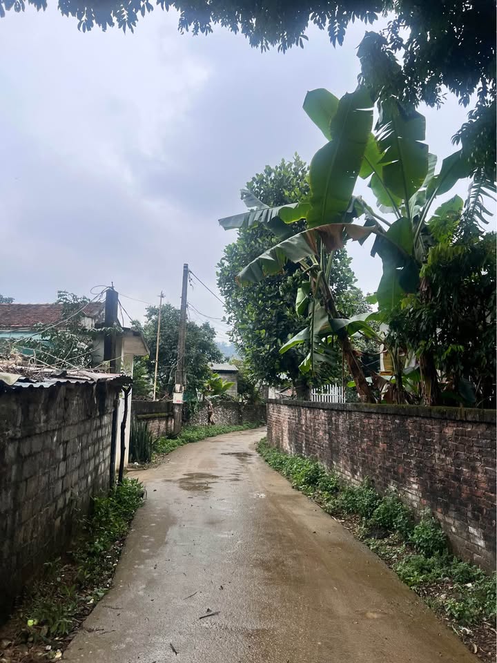 Đất nền Nhuận Trạch Lương Sơn 2140m² - Nghỉ dưỡng lý tưởng!