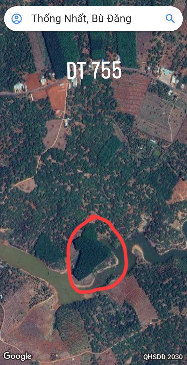 Bán Gấp 4.1ha Đất Cao Su Vườn Đẹp, View Hồ Độc Quyền Tại Bù Đăng