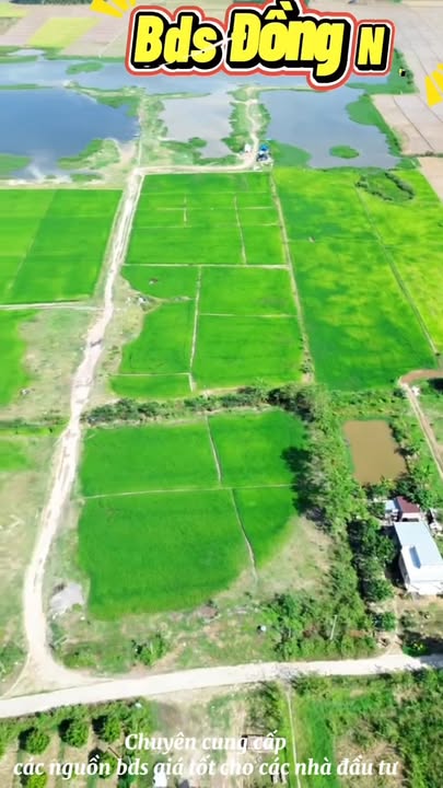 Đất nền Quận 2 360m² giá 115 triệu - Sổ đỏ chính chủ!