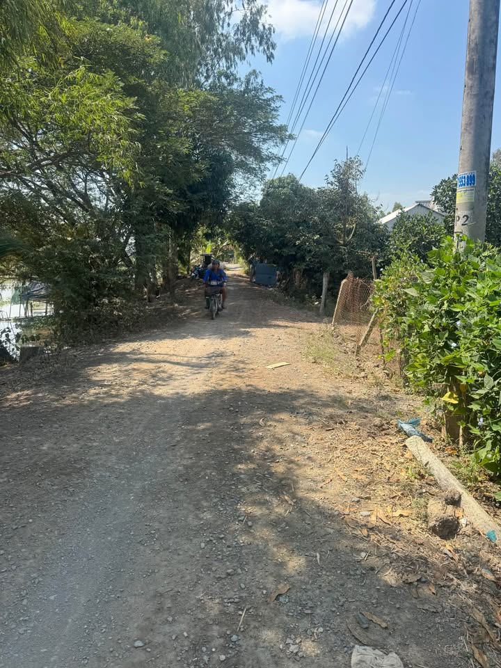 Bán Đất Vườn 3600m² Mặt Tiền 55m Xã Vĩnh Bình, Châu Thành, An Giang - Giá Tốt