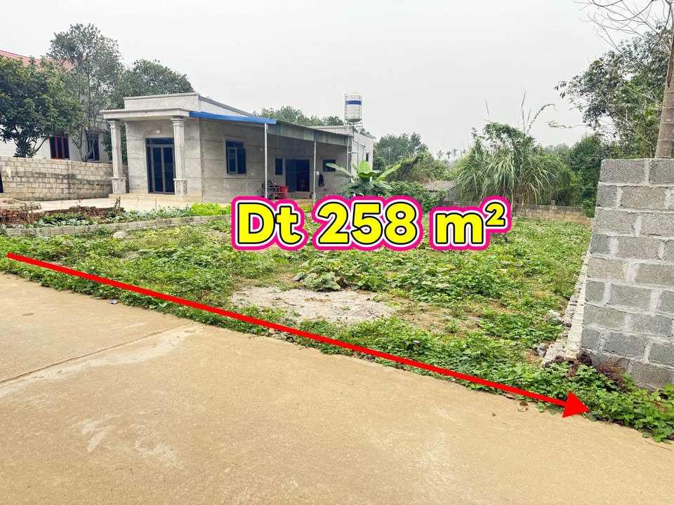 Đất Nền Xã Lát, Lạc Dương 258m² - Sẵn Sàng Xây Dựng, Đầu Tư Sinh Lời
