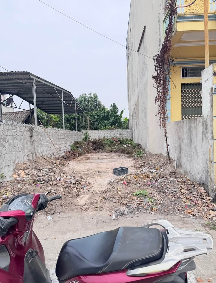 Bán đất mặt đường Đặng Xuân Bảng, Nam Định 85m² - Vị trí kinh doanh đắc địa