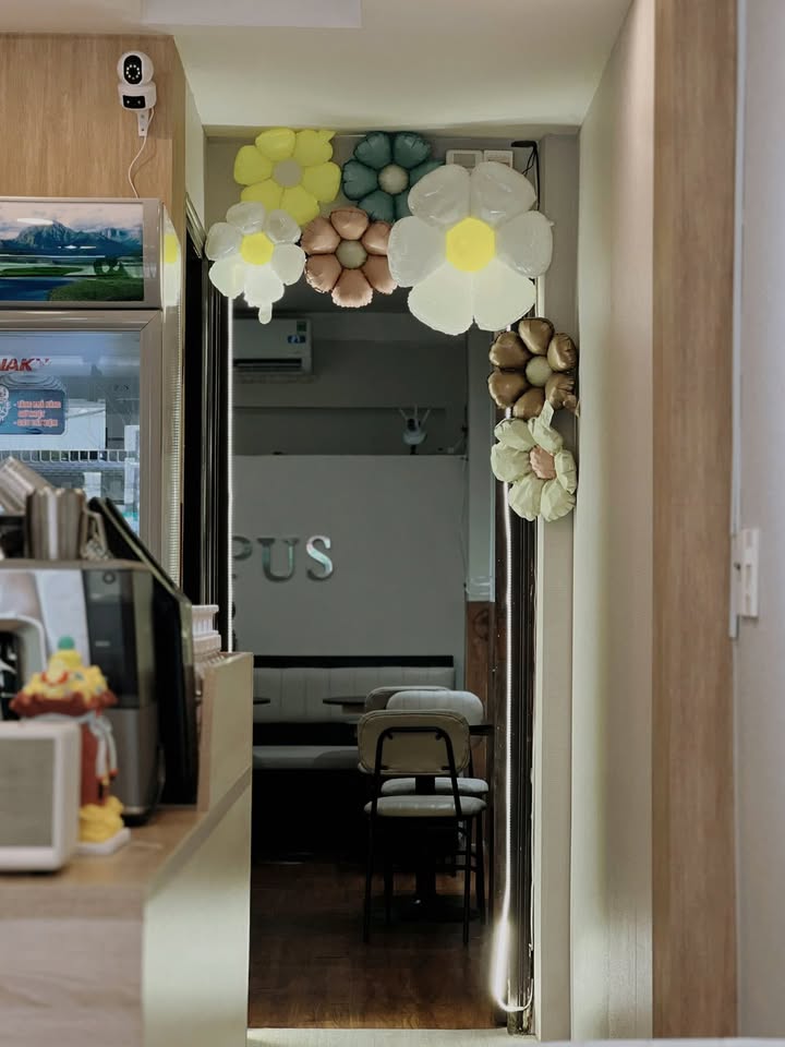 Mặt bằng D5 Bình Thạnh 42m² chỉ 15 triệu/tháng - Vị trí đắc địa!