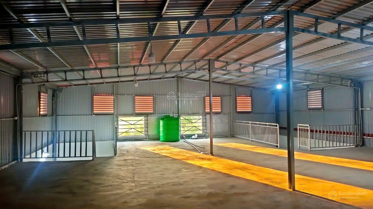 Cho thuê kho xưởng 1.000m² mặt tiền Tỉnh Lộ 830, Bến Lức - Container vào tận nơi