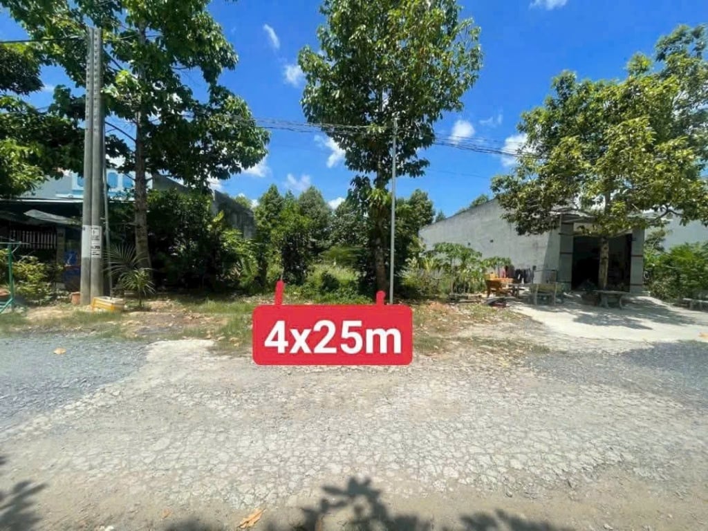 Bán Đất Nền Mặt Tiền Đường Số 8, Bến Lức, Long An - 100m² Giá Tốt