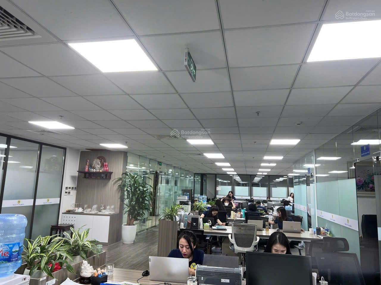 Văn phòng 196m² N02T3 Ngoại Giao Đoàn - View đẹp, giá tốt, sẵn sàng kinh doanh