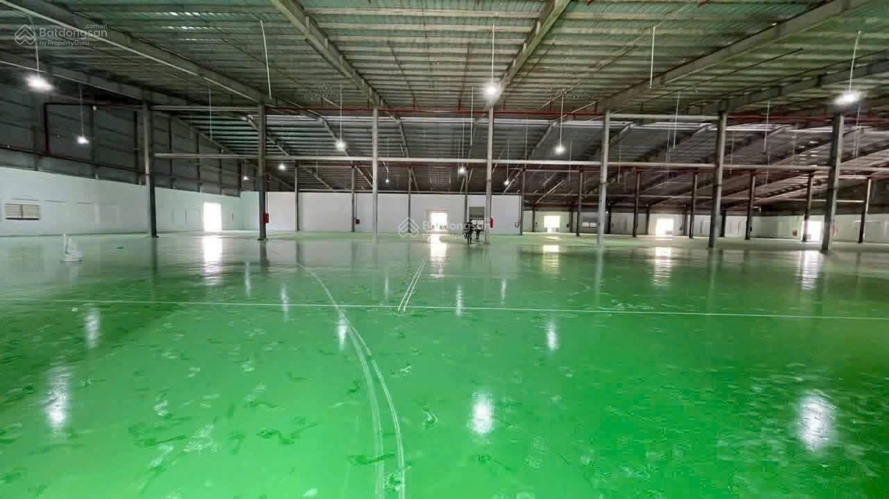 Cho thuê kho xưởng 15.000m² tại CCN Bến Lức, Long An - Sẵn sàng sử dụng