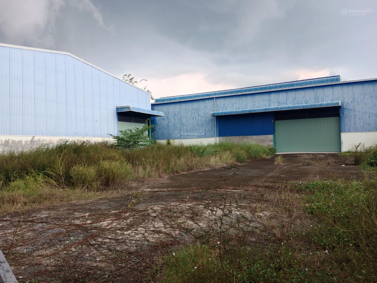 Cho thuê kho xưởng Tân An 3.000m² giá 50 triệu - Container vào tận xưởng