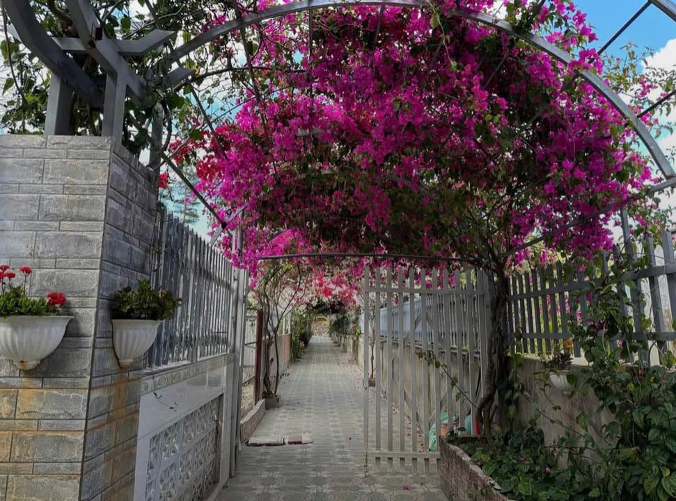 Nhà riêng Đà Lạt 2PN giá 3 triệu/tháng - View rừng thông, sẵn sàng ở ngay!