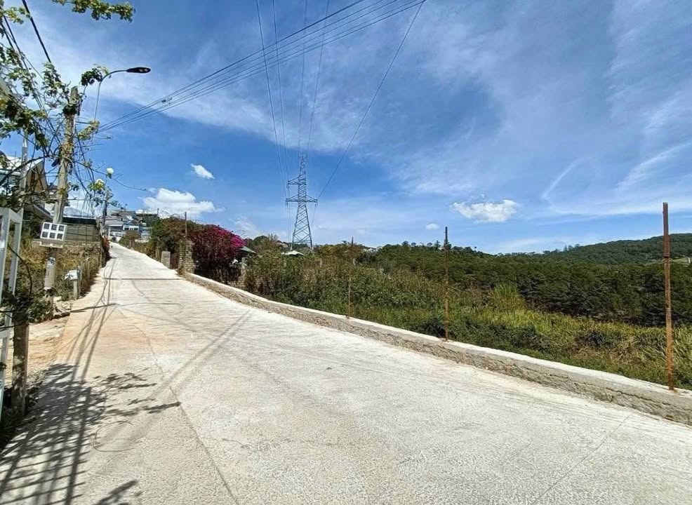 Đất Nền Đà Lạt 1200m² - 2 Mặt Tiền View Rừng Thông, Giá 19.9 Tỷ