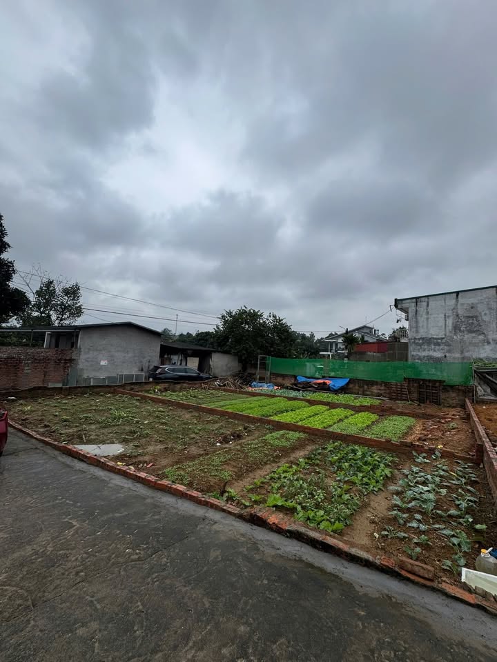 Đất nền Vĩnh Yên 76m² hơn 1 tỷ - Sổ đỏ chính chủ, ô tô tránh