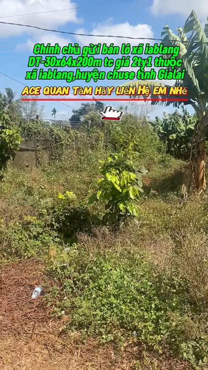 Đất nền mặt tiền Quang Trung, Chư Sê 1920m² - Sổ đỏ chính chủ!