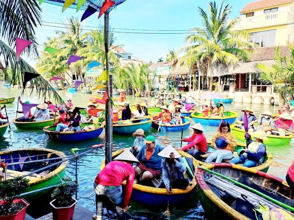 Homestay Rừng Dừa 7 Mẫu Hội An 111m² - View Sông Chill, Dòng Tiền Sẵn 40-50 Triệu/Tháng