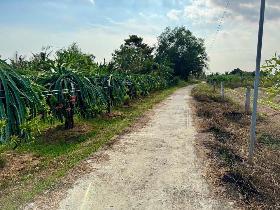 Đất nền Hàm Liêm 1000m² giá 750 triệu - Sổ đỏ chính chủ!