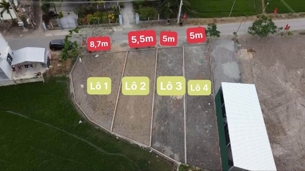 Đất nền Hồ Tùng Mậu Ninh Giang từ 459 triệu - Sổ hồng sẵn, xây dựng tự do!