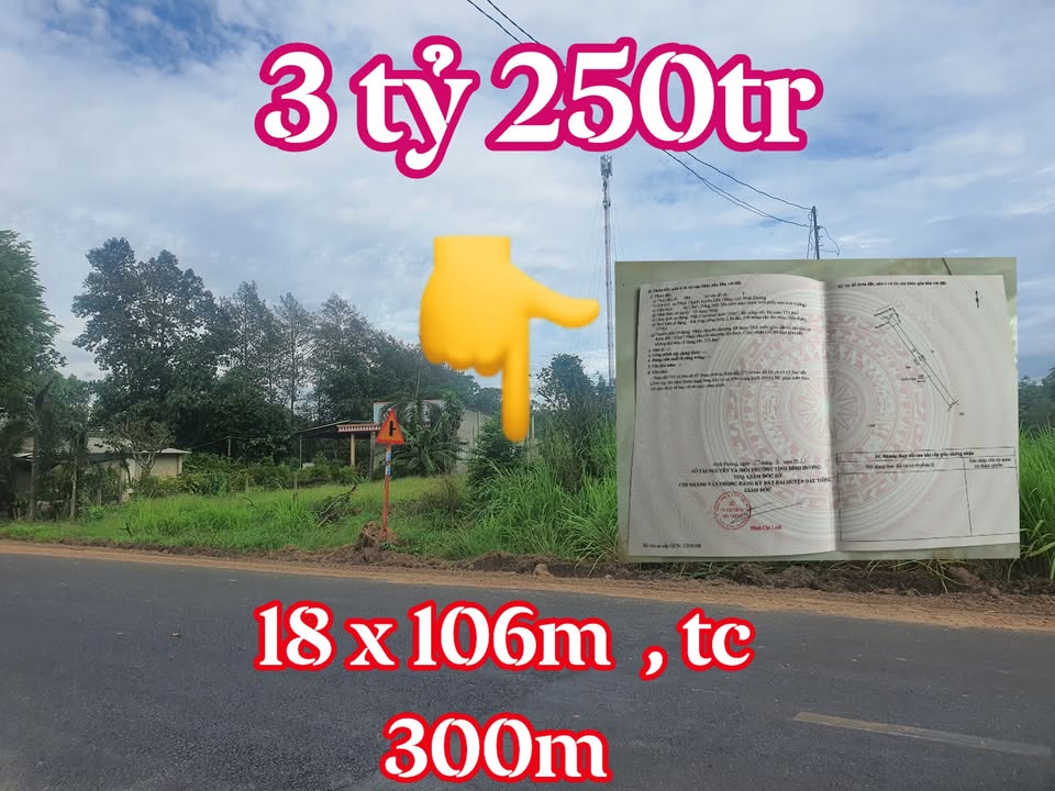 Đất nền Đường DH707 Dầu Tiếng 1908m² - Sổ đỏ chính chủ, sang tên ngay!