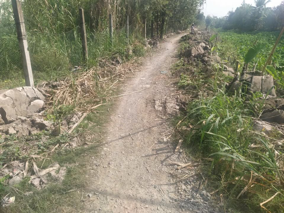 Bán đất vườn 583m² Cờ Đỏ, Cần Thơ - Sổ hồng sẵn, giá 800 triệu