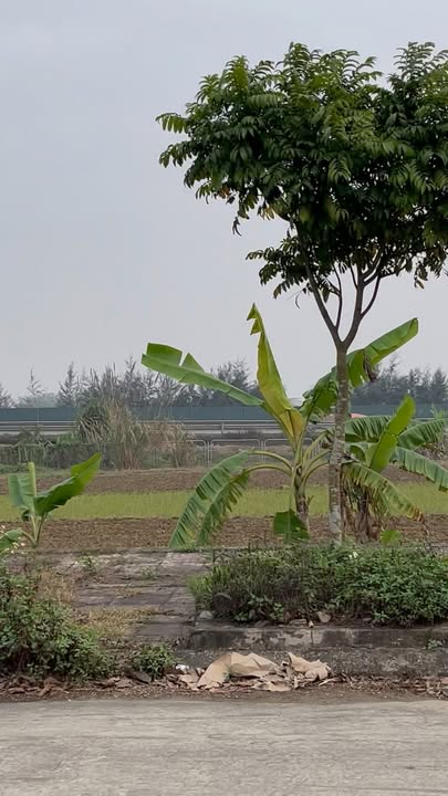 Bán Đất 110m² Phường Chợ Dầu, Ninh Bình - Gần Cao Tốc, Công Viên