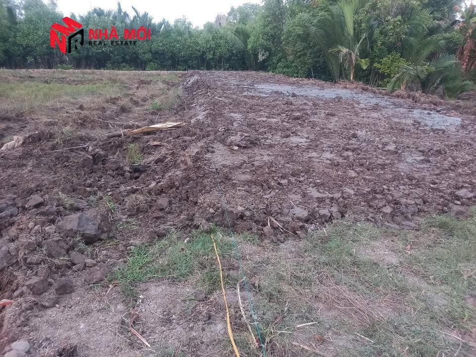 Đất nền Thị trấn Đầm Dơi 152m² giá 230 triệu - Sổ đỏ chính chủ!