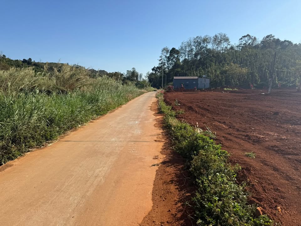 Đất Nền 400m² Thị Trấn Đức An - Sổ Đỏ Thổ Cư, Giá Chỉ 380 Triệu