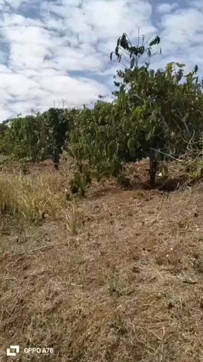 Đất Nền Đắk Nông 27.000m² - Sổ Đỏ Sẵn Sàng, Giá 2.8 Tỷ