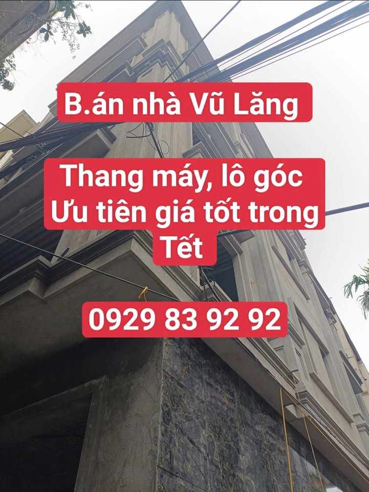 Nhà Phố Vũ Lăng - 320m² - Thang Máy - Lô Góc - Kinh Doanh Đỉnh Cao