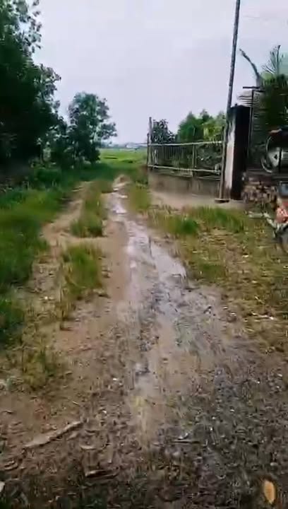 Nhà riêng Xã Long An, Long Thành 1000m² giá 3 tỷ - Đầu tư sinh lời ngay!