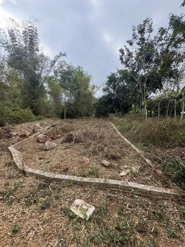 Đất nền Mai Châu Hòa Bình 380m² - Tiềm năng tăng giá cực tốt!