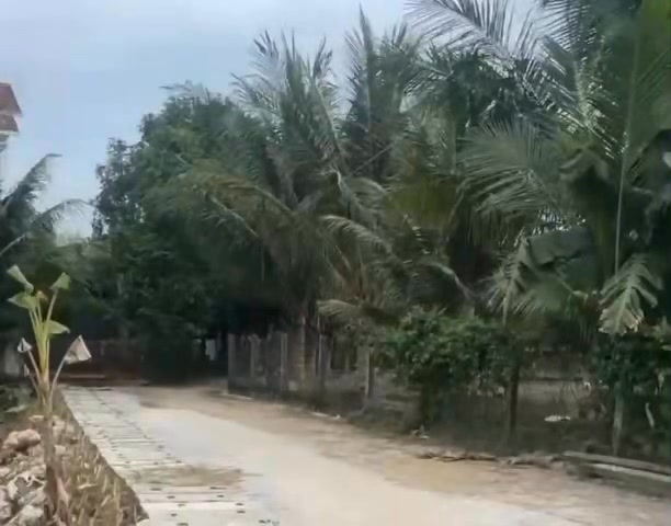 Đất Nền Phù Mỹ, Bình Định - 138m² Sổ Đỏ, Oto Tới Nhà