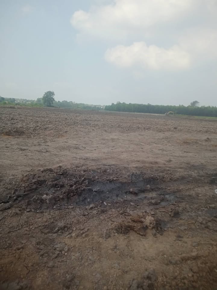 Bán Gấp Trang Trại 65.000m² Mặt Tiền Đường Lớn Gò Dầu, Tây Ninh - Giá 23 Tỷ