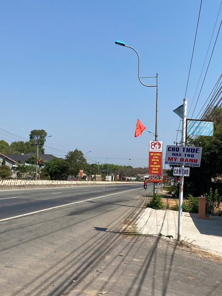 Đất Sổ Riêng 1350m² - Ngay Nhựa Phước Hoà, Dĩ An - Giá 800 Triệu