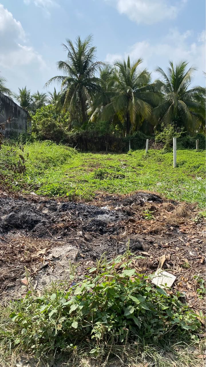 Bán Đất Thổ Cư 130m² Mỹ Phong, Mỹ Tho - Sổ Hồng Riêng, Giá Tốt