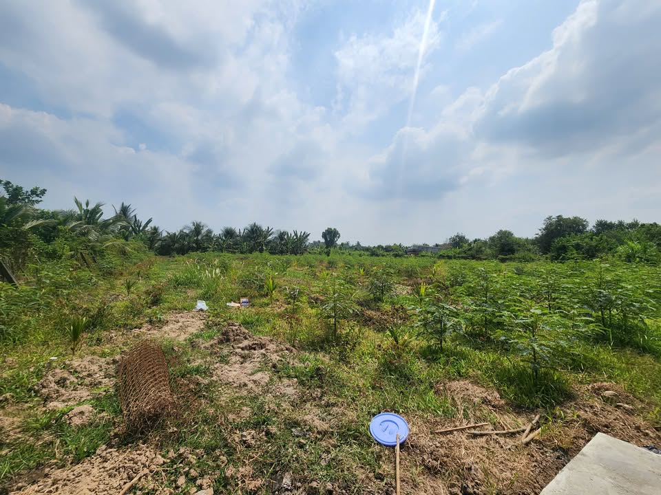 Bán đất Mỹ Phong, Tiền Giang 3000m² - Sổ đỏ 300m² thổ cư, giá 5.7 tỷ