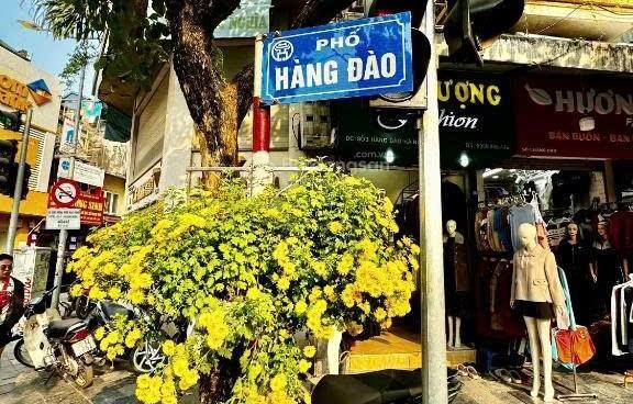 MBKD Mặt Tiền 3m - 3 Tầng Ngay Hồ Gươm, Hoàn Kiếm