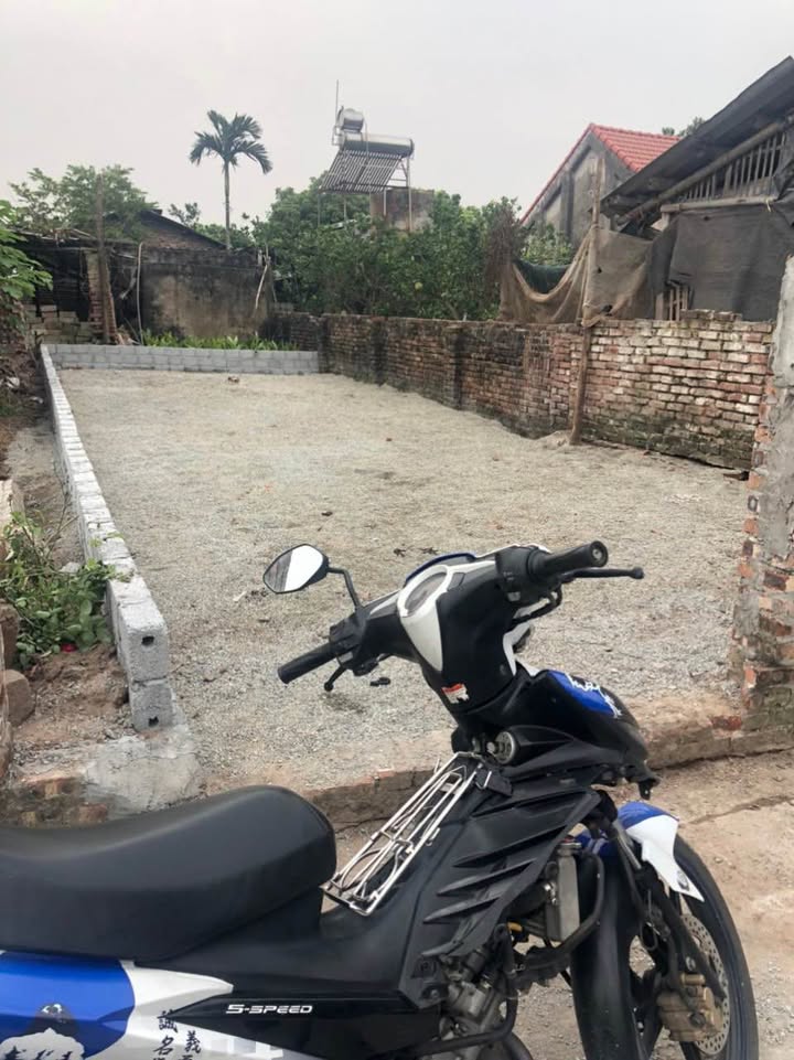 Đất nền Xã Tự Nhiên, Thường Tín 60m² - Sổ đỏ vuông vắn, giá chỉ 700 triệu