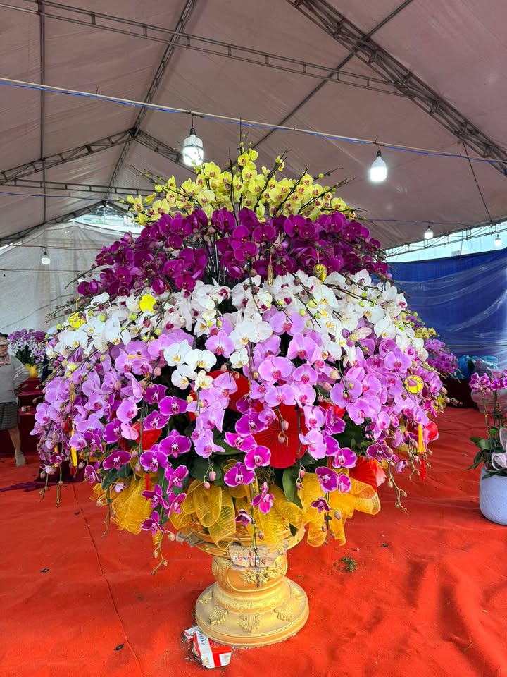 Đất nền Điện Bàn 105m² kèm dãy trọ - Đầu tư sinh lời ngay!