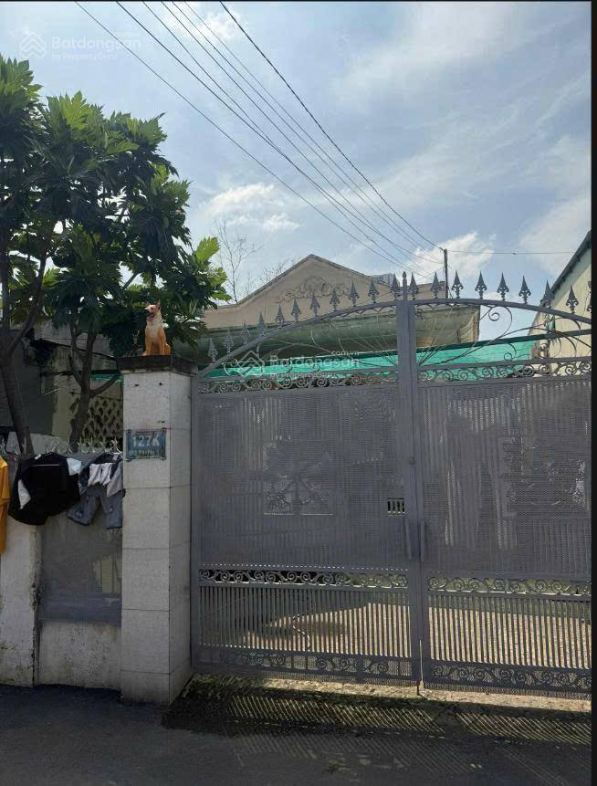 Đất Vàng Thủ Đức - 577m² Mặt Tiền Song Hành, An Phú - Giá 25 Tỷ