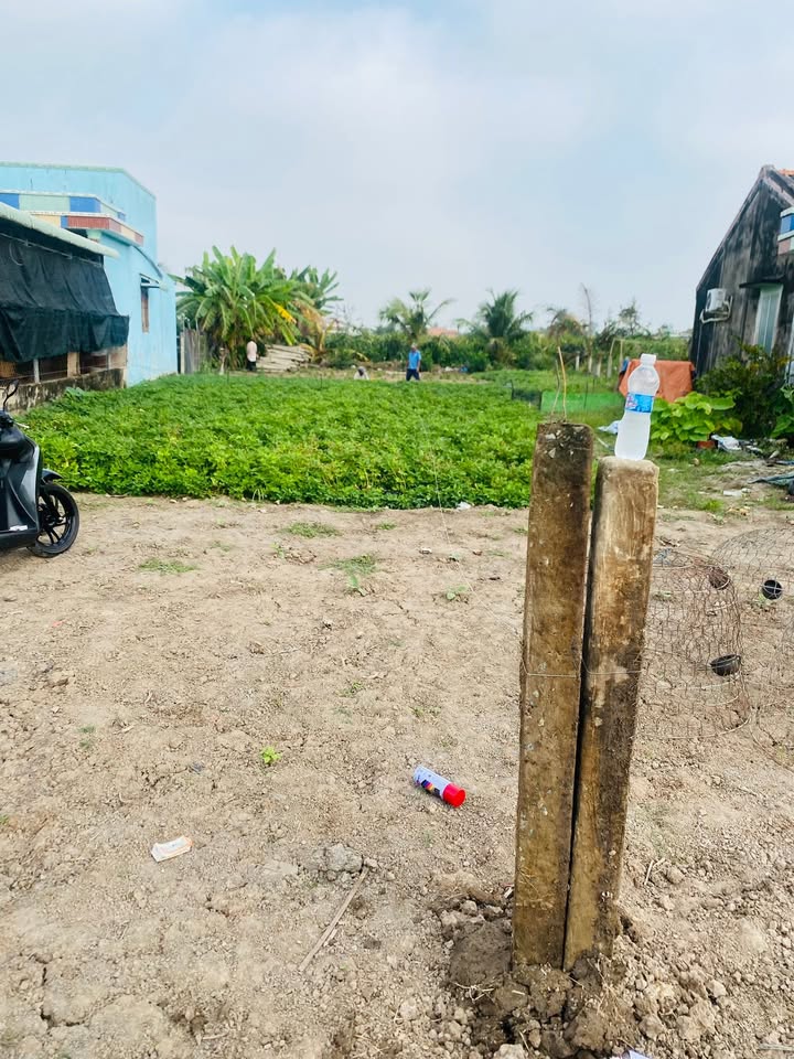 Đất nền Tiền Giang 447m² - Sổ đỏ chính chủ, giá tốt đầu tư